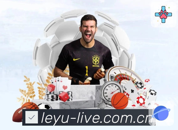 安全保障与稳定体验